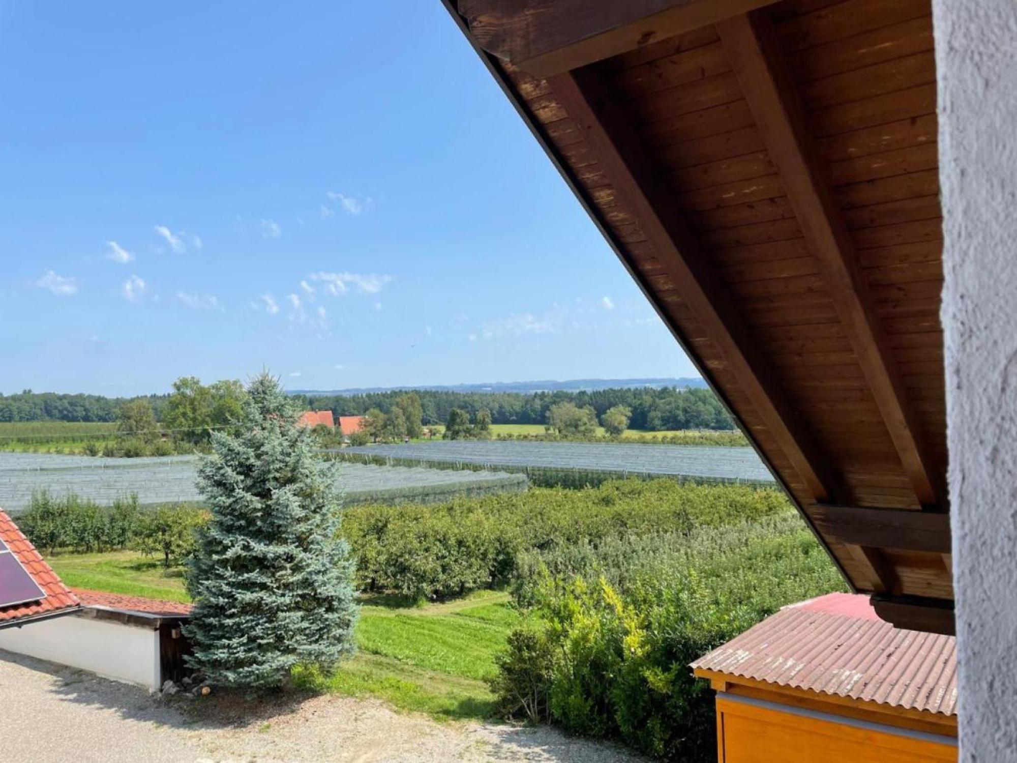 Bergchalet Mirabell - Hofgut フリードリヒスハーフェン エクステリア 写真