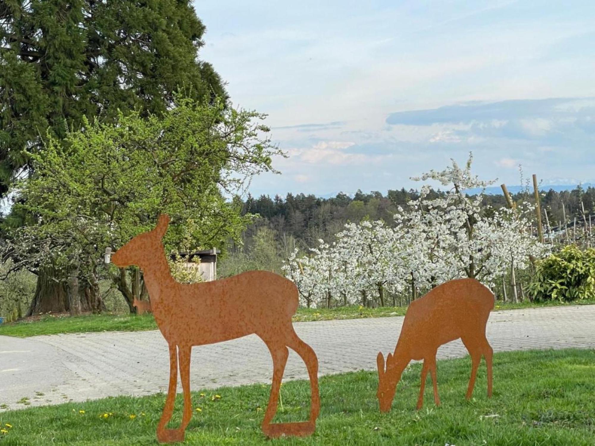 Bergchalet Mirabell - Hofgut フリードリヒスハーフェン エクステリア 写真
