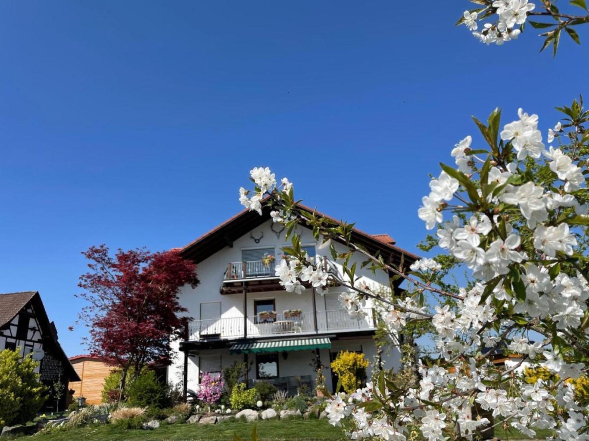 Bergchalet Mirabell - Hofgut フリードリヒスハーフェン エクステリア 写真
