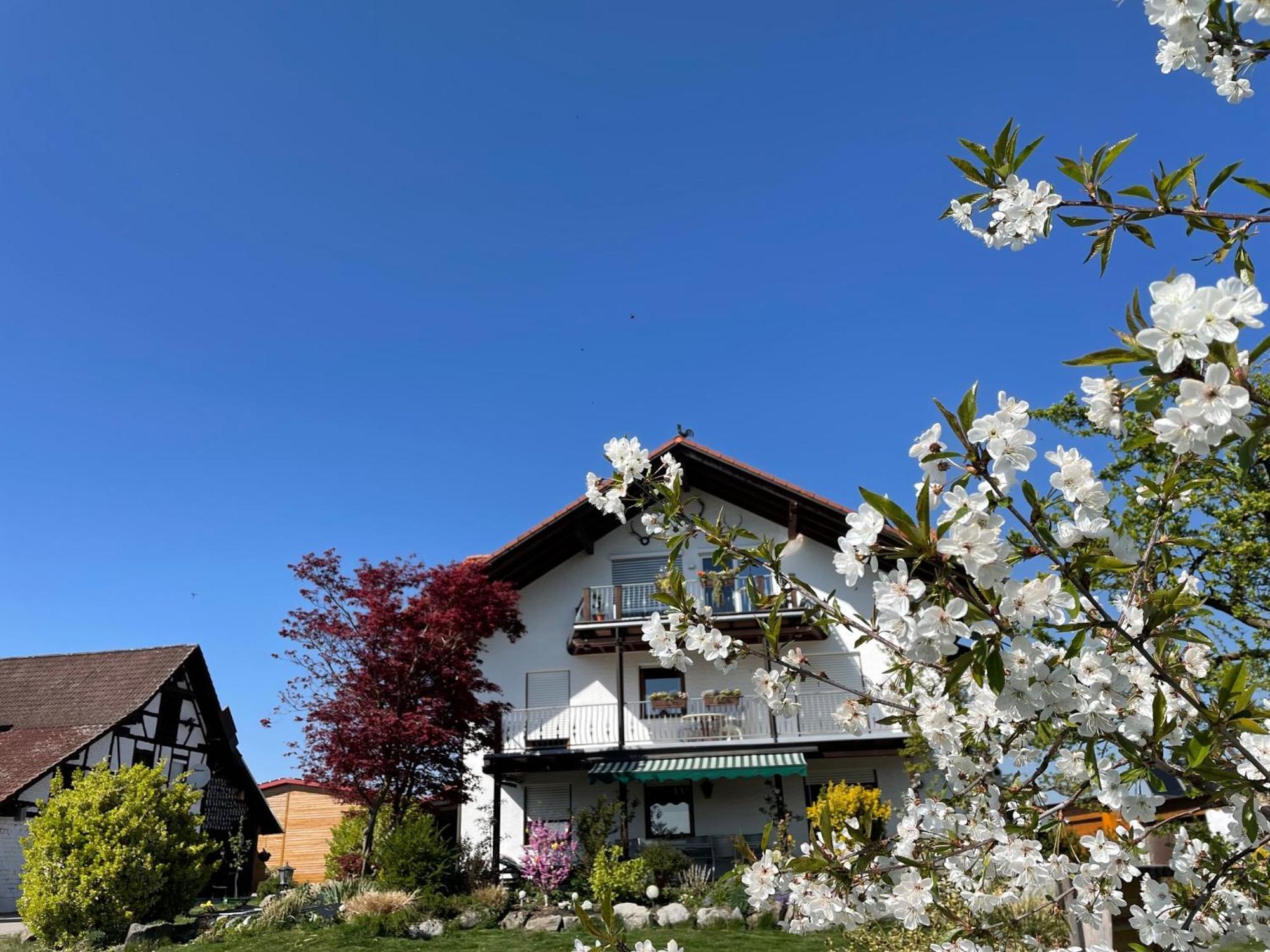 Bergchalet Mirabell - Hofgut フリードリヒスハーフェン エクステリア 写真