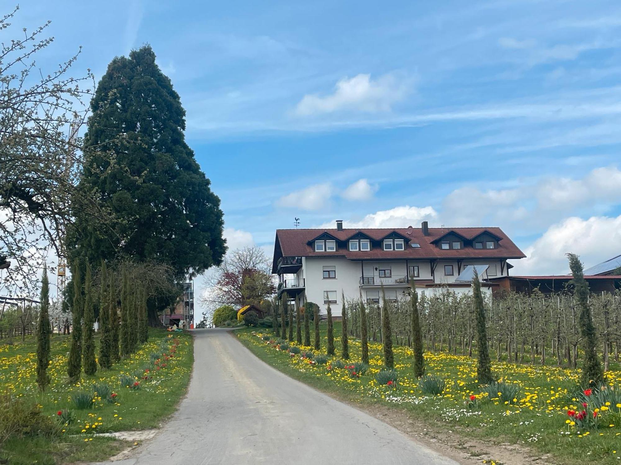 Bergchalet Mirabell - Hofgut フリードリヒスハーフェン エクステリア 写真